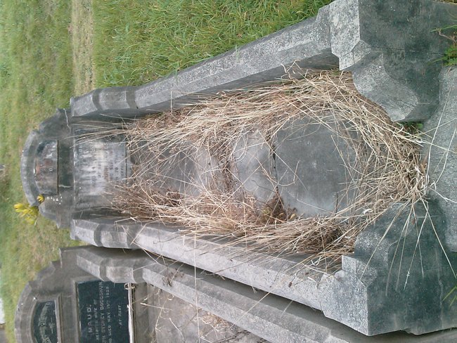 headstone