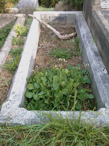 headstone