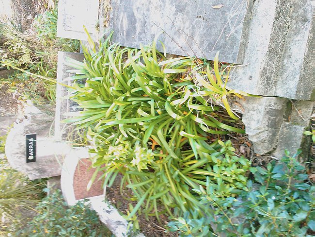 headstone