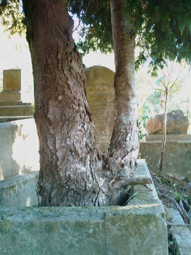 headstone