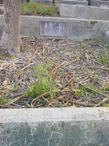 headstone