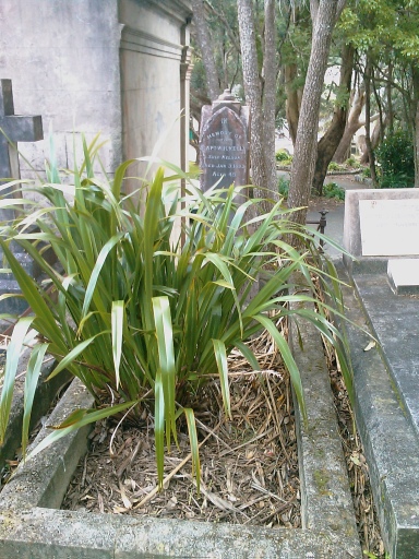 headstone