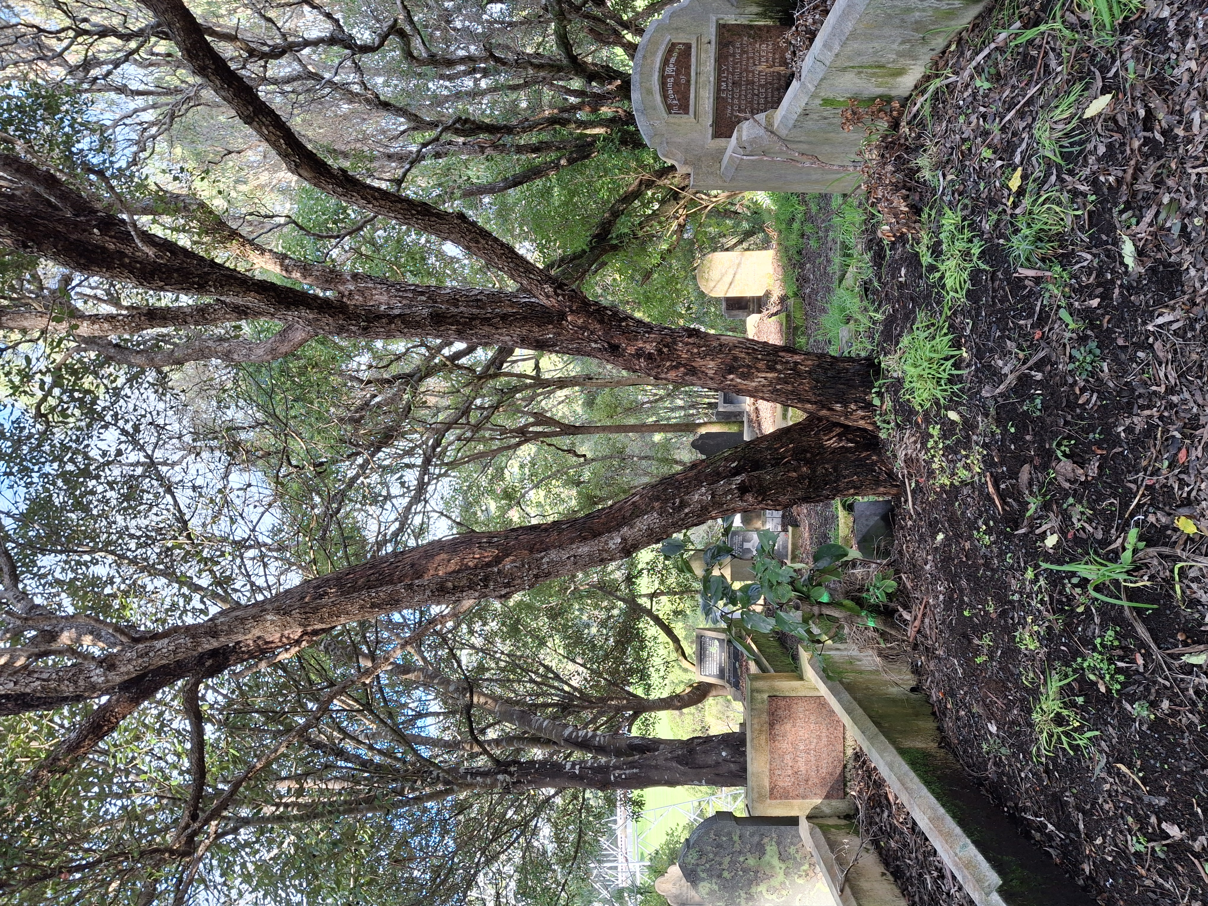 headstone