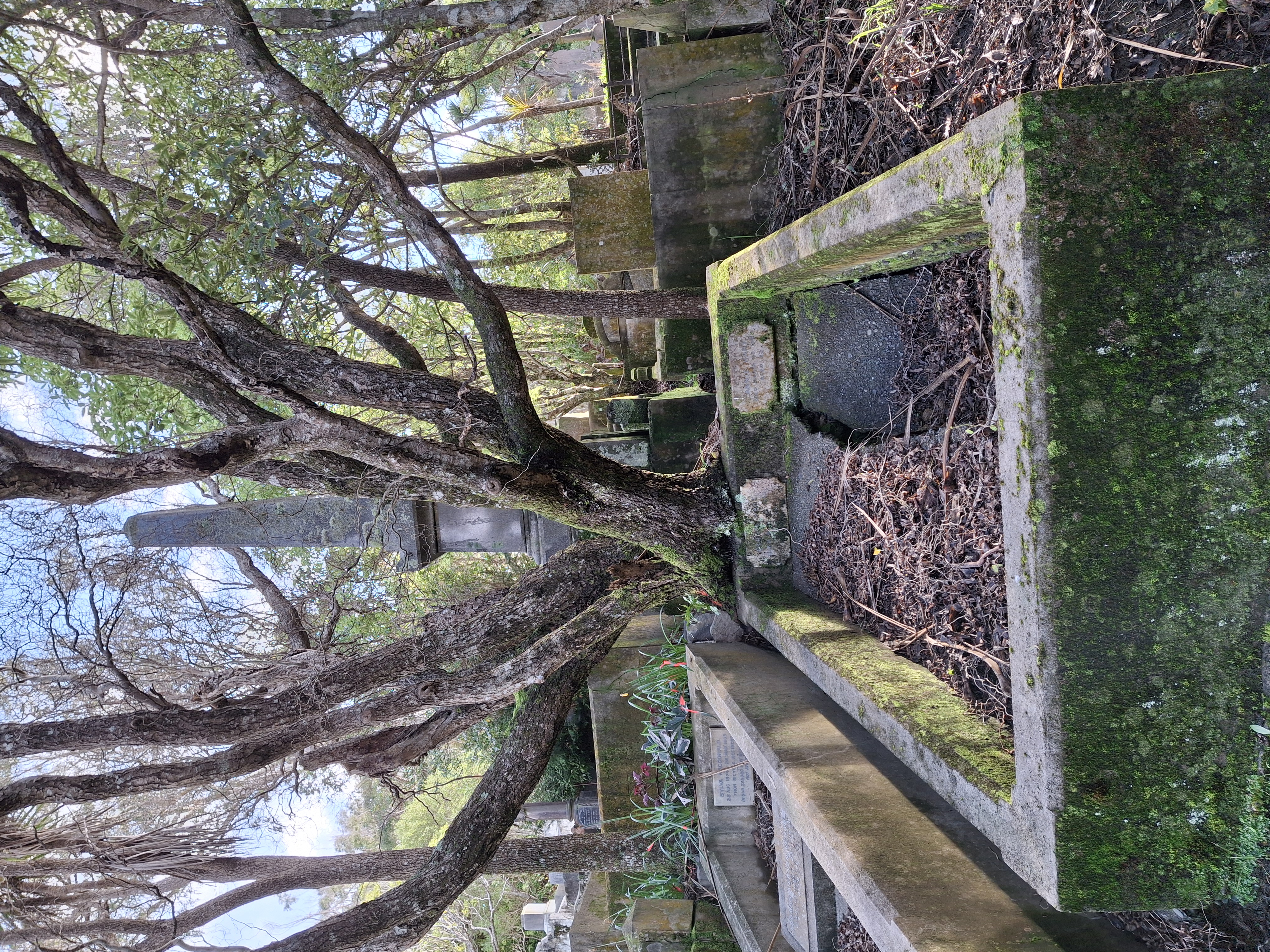 headstone