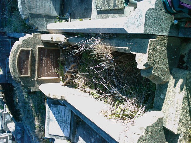 headstone