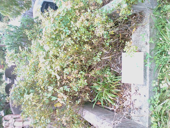headstone