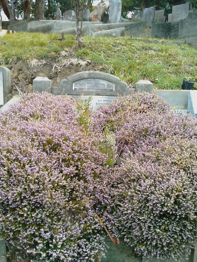 headstone